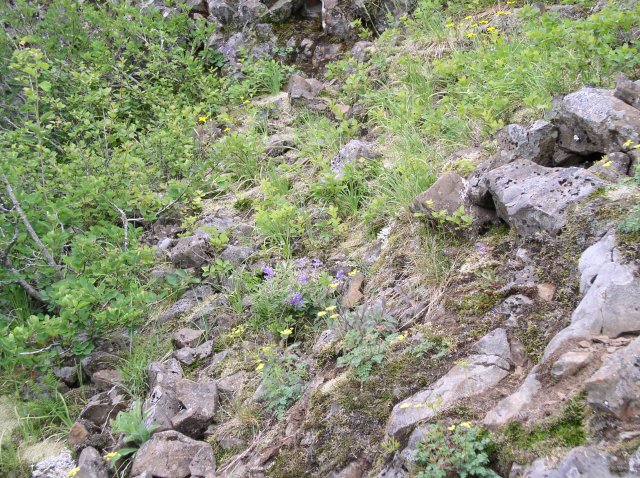 6.10.06 Table Mtn_3CR 030 